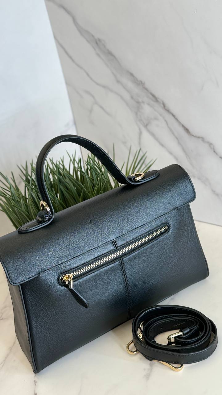 “Enzo Nori Classic Grace”