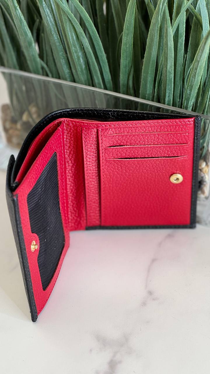 “Enzo Nori Compact Luxe”