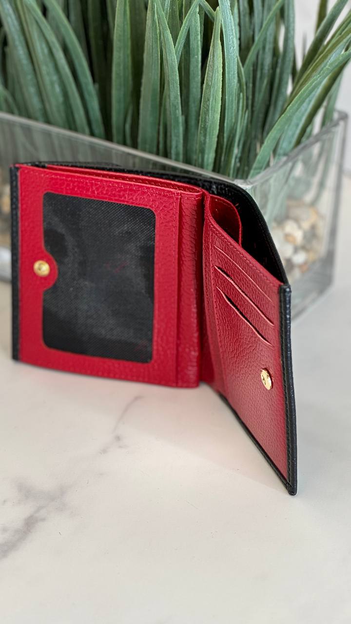 “Enzo Nori Compact Luxe”
