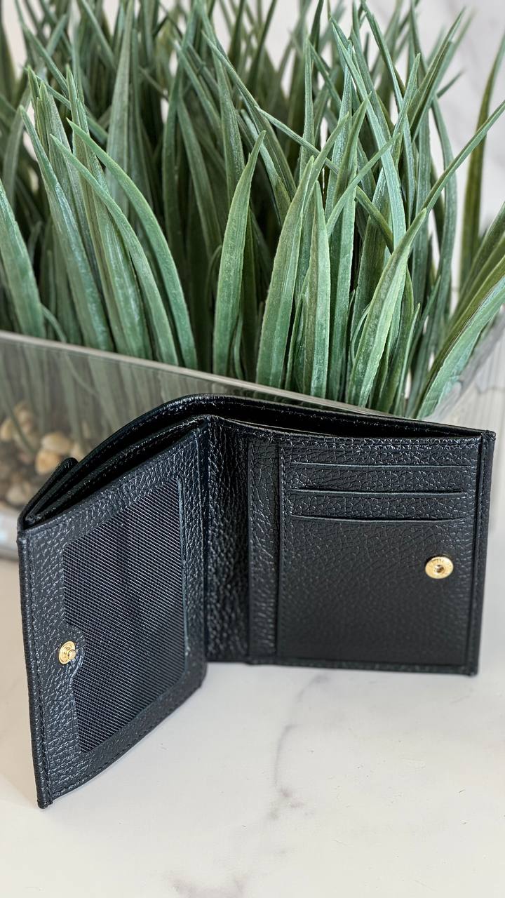 “Enzo Nori Compact Luxe”