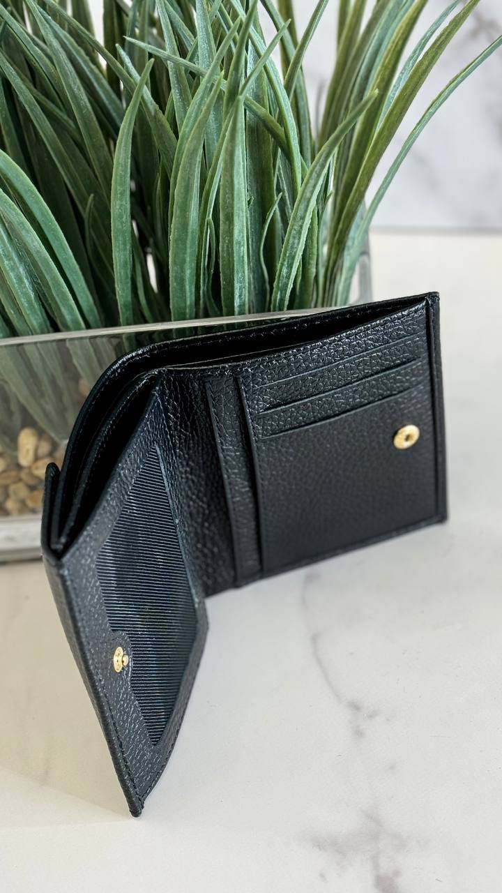 “Enzo Nori Compact Luxe”