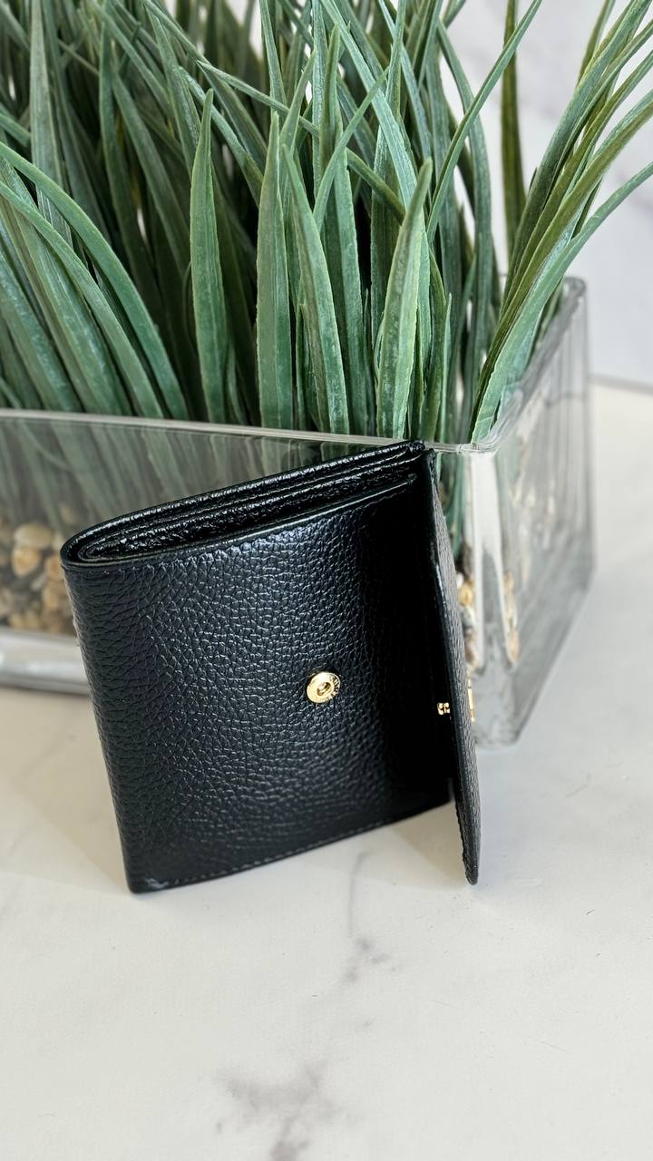 “Enzo Nori Compact Luxe”
