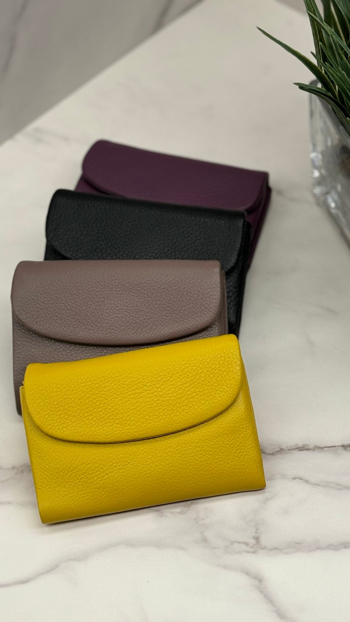 “Color Luxe” – Genuine Leather Wallets